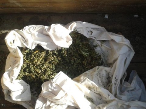 Beyləqanda saxlanılan şəxsdən 3 kq tiryək AŞKARLANDI