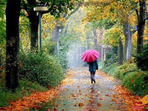 Payız depressiyası cinsi fəaliyyətə mənfi təsir göstərir