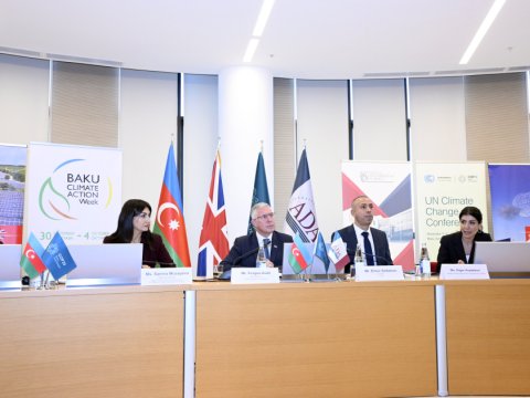 "Karbon bazarları bəşəriyyət üçün ən yüksək fayda verə bilər"