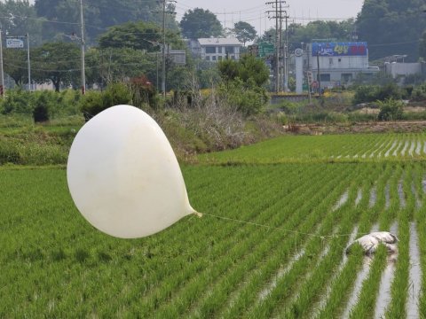 Koreyadan Koreyaya növbəti zibilli ŞAR