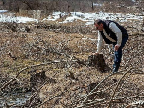 Ekosidə görə cinayət məsuliyyəti müəyyənləşir