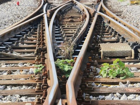 Dəmir yolu stansiyasından oğurluq edən şəxs saxlanıldı