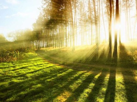 Bazar günü 28 dərəcə isti olacaq