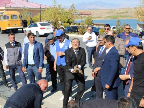 Naxçıvanda 40 kəklik, 15 turac təbiətə buraxıldı&nbsp;-&nbsp;FOTO