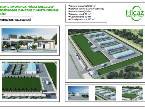 Cəbrayılda ildə 24 milyon yumurta istehsal ediləcək