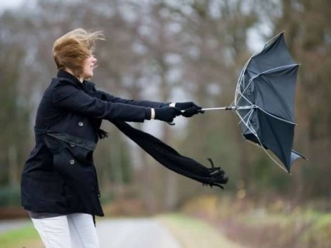 Küləkli hava ilə bağlı SARI XƏBƏRDARLIQ