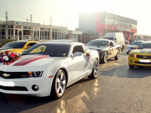 Polis "toy karvanı" iştirakçılarına müraciət etdi