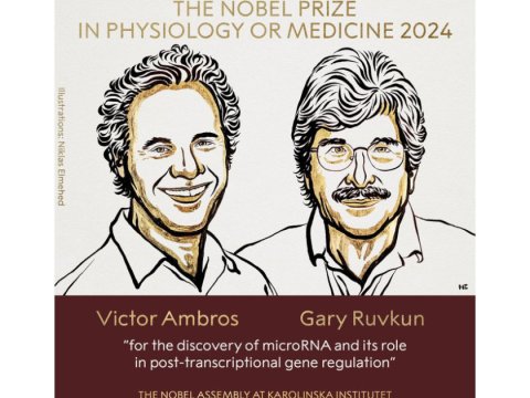 Onlara Nobel mükafatı verildi