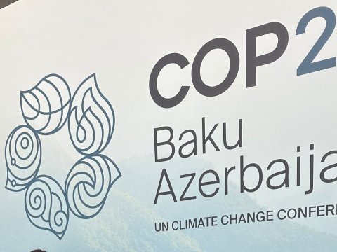 Azərbaycan COP29-da əlavə təşkilati xərcləri öz üzərinə götürür