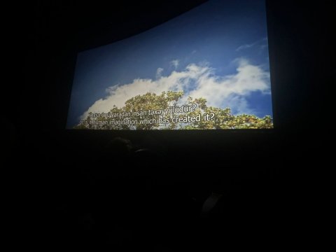 COP29 dialoqlarına həsr olunmuş film nümayiş edilib