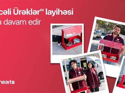 Qırmızı Ürəklər Fondu hər kəsə sahibsiz heyvanlara&nbsp;dəstək olmaq imkanı yaradır
