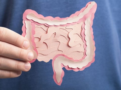 Bağırsaq xərçəngi riskini artıran XƏSTƏLİKLƏR