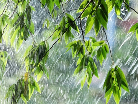 Bəzi bölgələrə leysan yağıb - FAKTİKİ HAVA