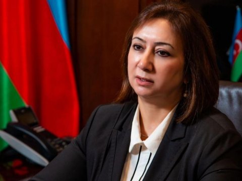 Qərb çalışır ki, Azərbaycanı gücdən salsın - Deputat