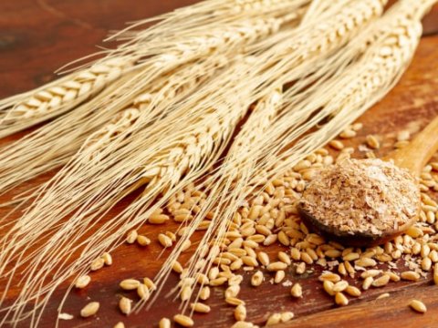 Ermənistanda buğda qıtlığı