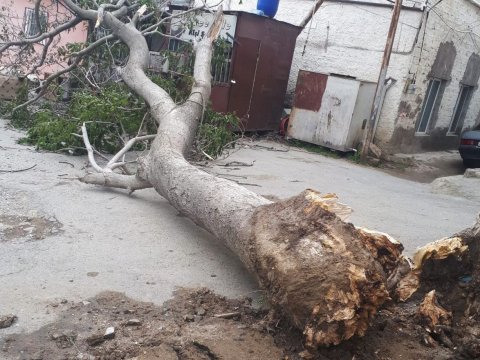 Təbiət hadisələrinin şəxsi mülkə vurduğu zərəri kim ödəməlidir? - AÇIQLAMA