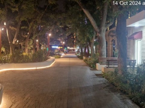 Xəqani parkı zəbt edildi - Dövlət qurumu hərəkətə keçdi