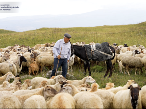 Xəbərdarlıq nişanlarına əməl etmək niyə vacibdir? - VİDEO