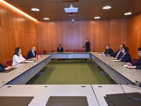 Sahibə Qafarova albaniyalı həmkarı ilə görüşüb