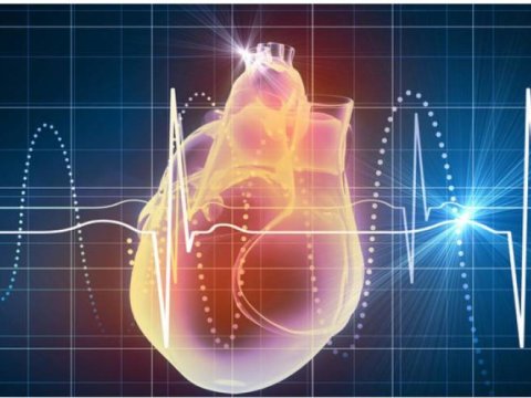 Ürəyimiz bu qədər döyünürmüş...