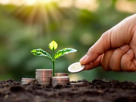 COP29 Azərbaycanda yaşıl iqtisadiyyatın inkişafına təkan verəcək