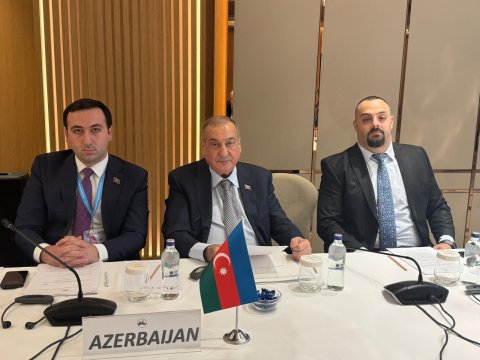 Deputatlar İstanbulda ölkəmizi təmsil etdilər - FOTO