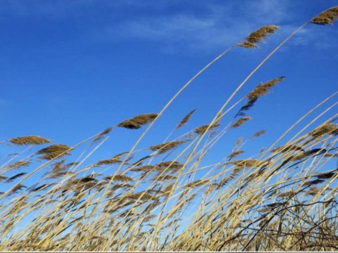 Faktiki hava: yağış, güclü külək