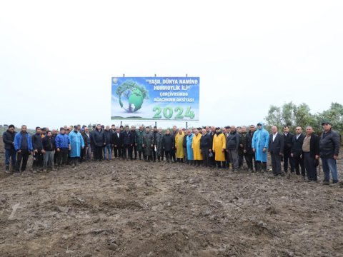 Neftçalada növbəti ağacəkmə aksiyası - FOTO