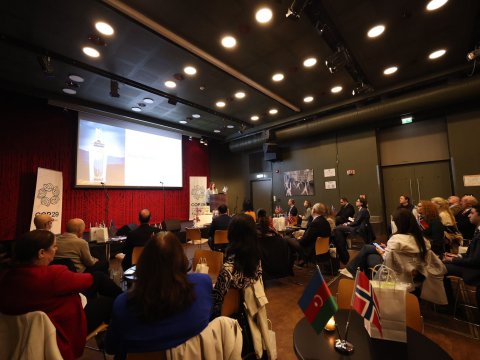 Norveçdə COP29 öncəsi aparılan qarayaxma kampaniyasından bəhs edildi - FOTO