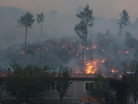 Türkiyədə meşə yanğını - VİDEO