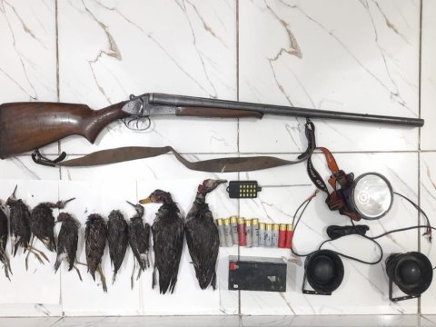 Astarada qanunsuz ov&nbsp;- FOTO