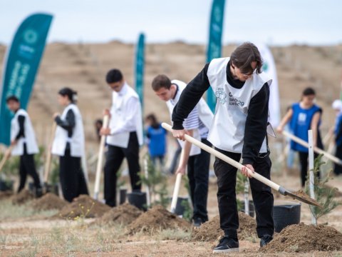 Hər bir şüurlu vətəndaş bu aksiyalarda iştirak etməlidir - Ekoloqlardan çağırış