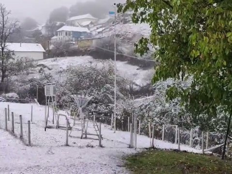 Lerikə qar yağır - VİDEO