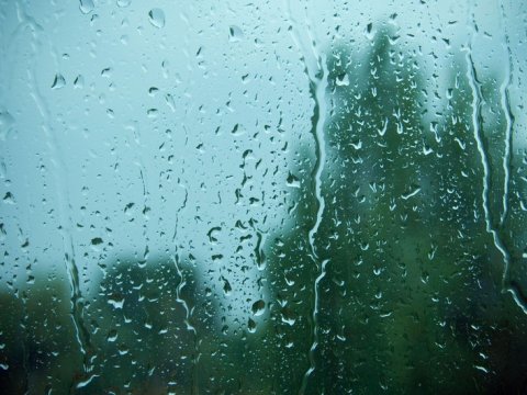 Bu rayonlarda yağış dayanıb