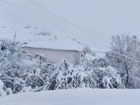 Lerikdə 17 sm qar yağıb - FAKTİKİ HAVA