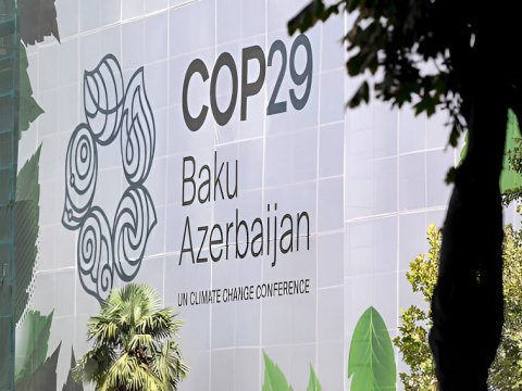 COP29-dan əvvəl yol xəritəsi təqdim olunacaq