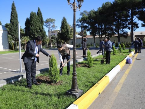 GDU tələbələri ağacəkmə aksiyasında - FOTO