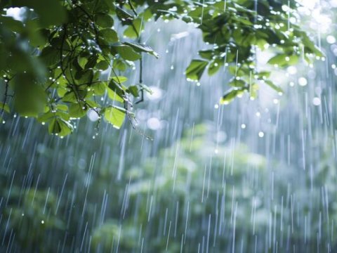 Rayonlara qar və yağış yağıb