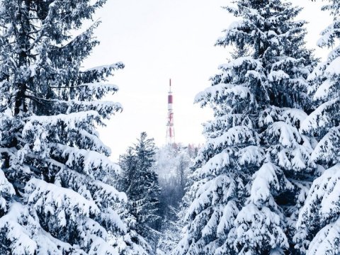 Şimal rayonlarına qar yağıb&nbsp;&ndash; FAKTİKİ HAVA