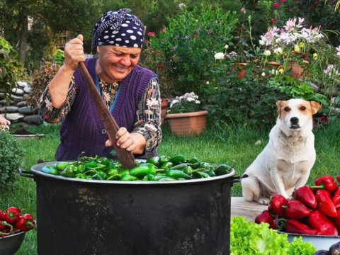 Qusardan bütün dünyaya yayılan LƏZZƏT