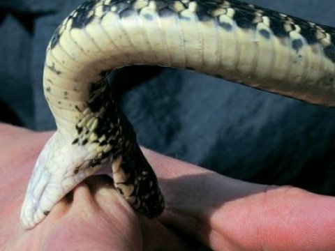 42 yaşlı kişini ilan vurdu