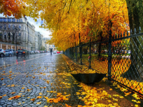 Bu gün 20 dərəcə isti olacaq