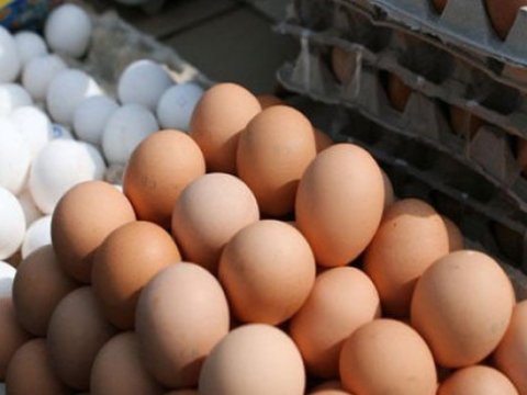 Azərbaycanda yumurta bahalaşıb?