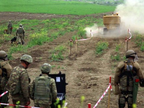 Qarabağda 170 min hektar ərazi minalardan təmizlənib - Rəsmi