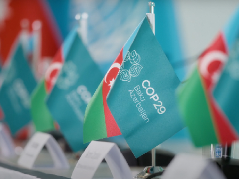 COP29-da yalnız onlara pulsuz qida veriləcək