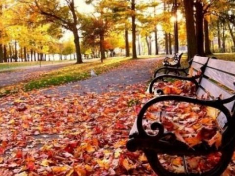 Noyabrın hava PROQNOZU