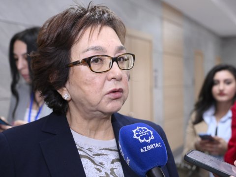 Azərbaycan dili üzrə sertifikasiya imtahanı bu tarixdə keçiriləcək - DİM sədri açıqladı