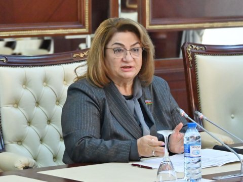 Özəl uşaq müəssisələrdə keyfiyyət aşağıdır - Komitə sədri