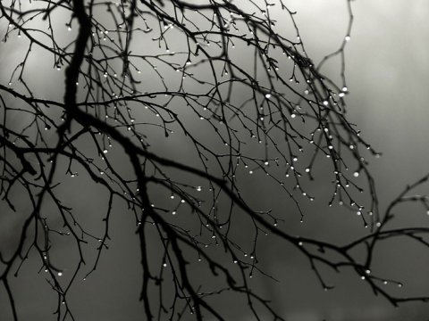 Hava yenidən dəyişəcək - Temperatur 10 dərəcək enəcək