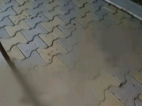 57 yaşlı qudasının qanını tökdü - VİDEO